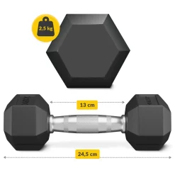 4FIZJO Hantel stalowy HEX 1 x 2,5 kg Online