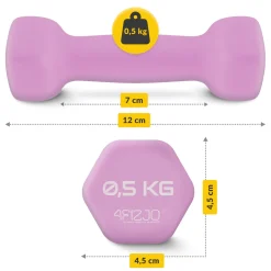 4FIZJO Hantelki żeliwne do ćwiczeń Classic 2 x 0,5 kg Hot